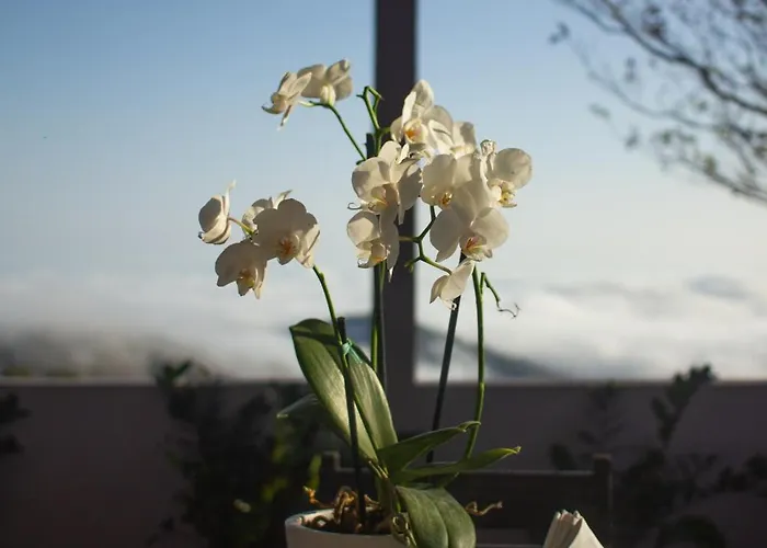 Nosara Hideaway 2 - Breakfast Available & Mountain View